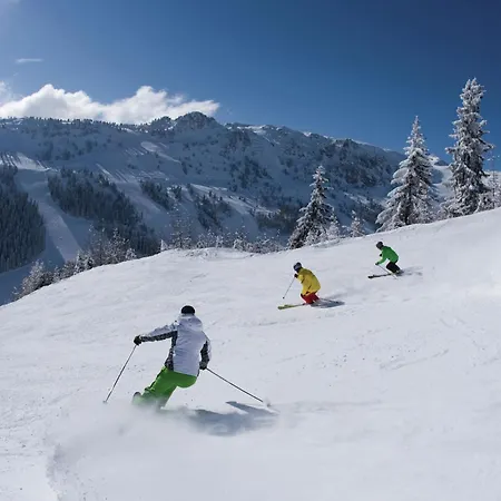 Flat Near Four Lifts In Mayrhofen
