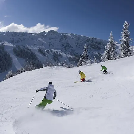 Flat Near Four Lifts In Apartment Mayrhofen