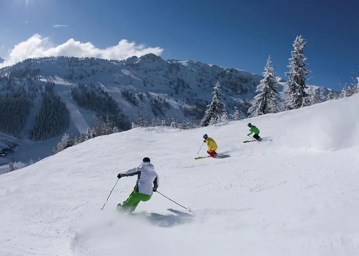 Flat Near Four Lifts In Mayrhofen